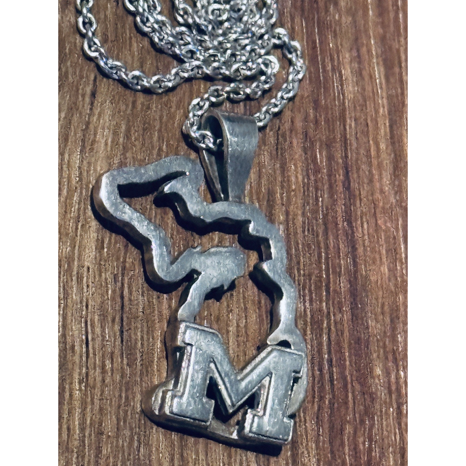 Michigan State Wolverines Sterling Silver Pendant And 17” Necklace